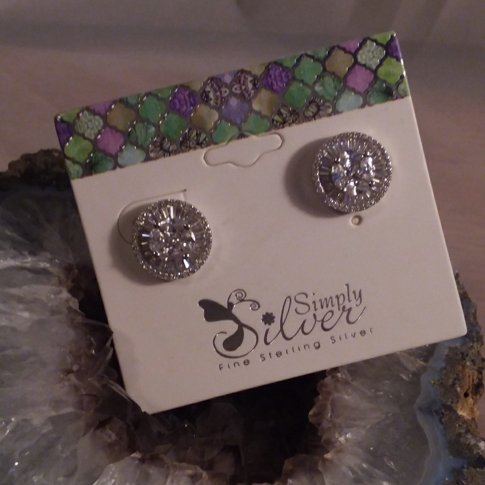 Simply Silver Earrings